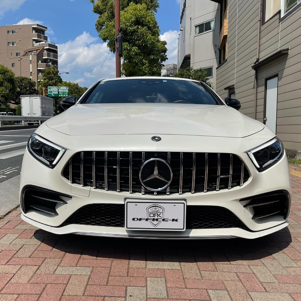 メルセデス・ベンツCLS　C257前期用パナメリカーナグリル BENZ メルセデス ベンツ C257 CLS用 AMG GTRタイプ パナメ