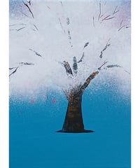 Kalua　sakura　4号