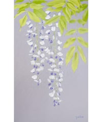 山本陽光　藤の花　8号