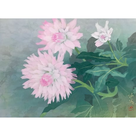 dahlia | STORES