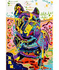 Kalua　Jollydog　4号