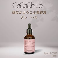 オーガニックシャンプー1000ml（詰替えサイズ） | cocochienet