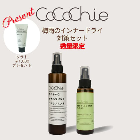 cocochienet