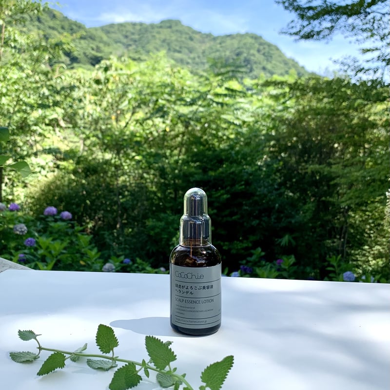 頭皮がよろこぶ美容液 ヘランデル 60ml（育毛美容液） | cocochienet