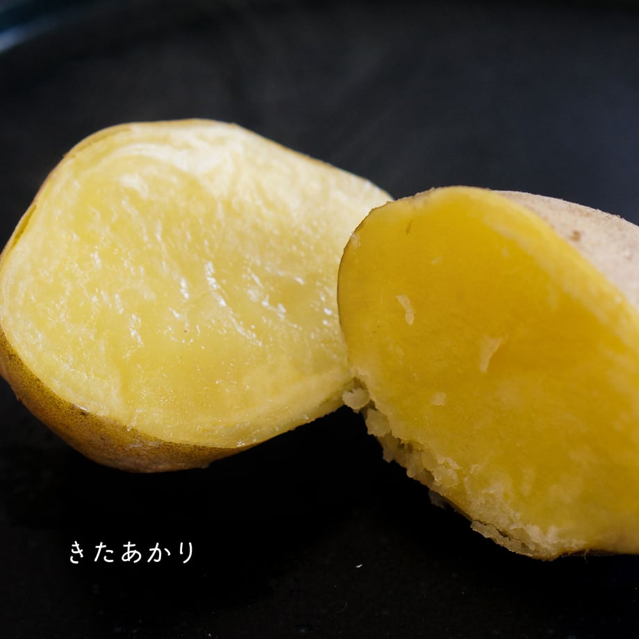 6343818b5976202502f45357