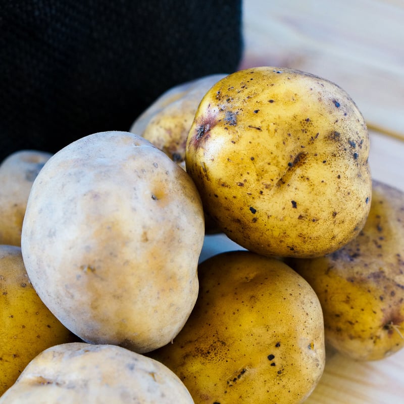 12月下旬〜1月下旬発送】新じゃが きたあかり/とうや 新じゃが2種