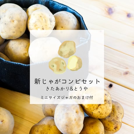 【10月上旬〜下旬発送】新じゃがコンビ(きたあかり/とうや)　セット(ミニサイズじゃがのおまけ付)