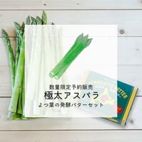 【5月31日予約終了】【予約販売・数量限定】極太アスパラ(L〜2L)&よつ葉の発酵バター【6月上旬〜6月下旬】