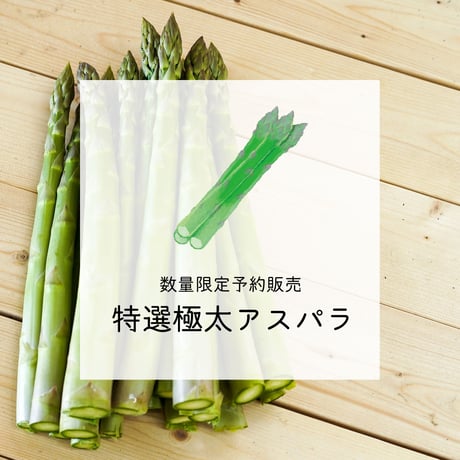 【完売】【予約販売/限定70セット】特選極太アスパラ(2L以上) 1kg【4月下旬〜5月中旬発送】