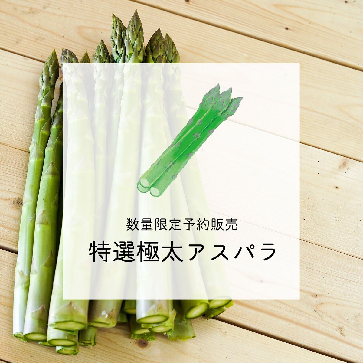完売】【予約販売/限定70セット】特選極太アスパラ(2L以上) 1kg【4月