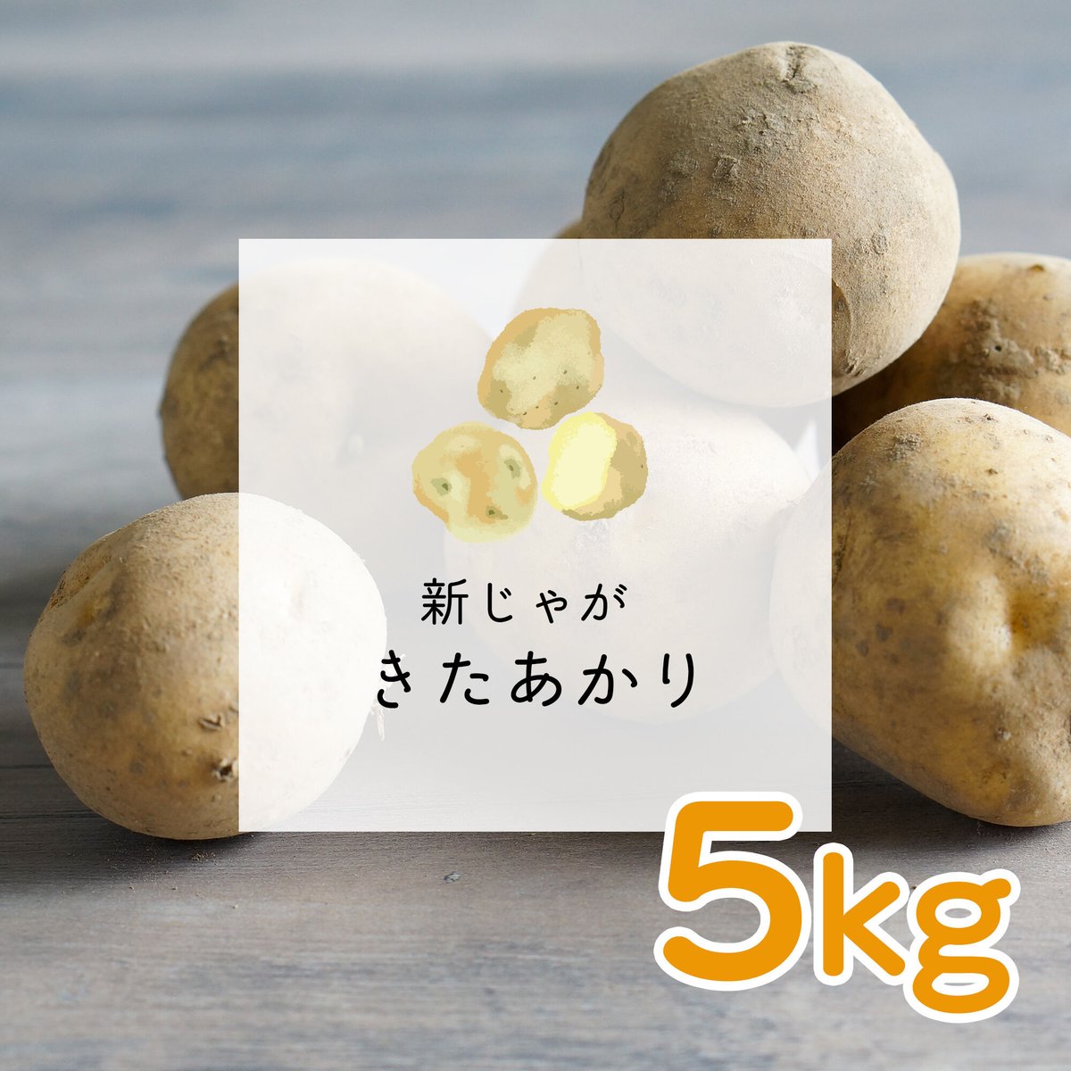 しゃかりきページ 12月下旬〜1月下旬発送】新じゃが きたあかり 5Kgセット | ナチュラル