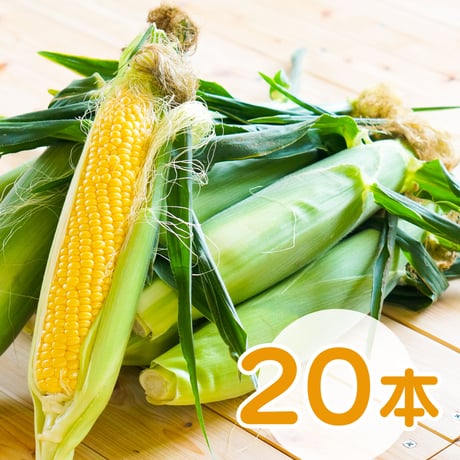 あさもぎトウキビ20本セット【7月下旬〜8月中旬発送】