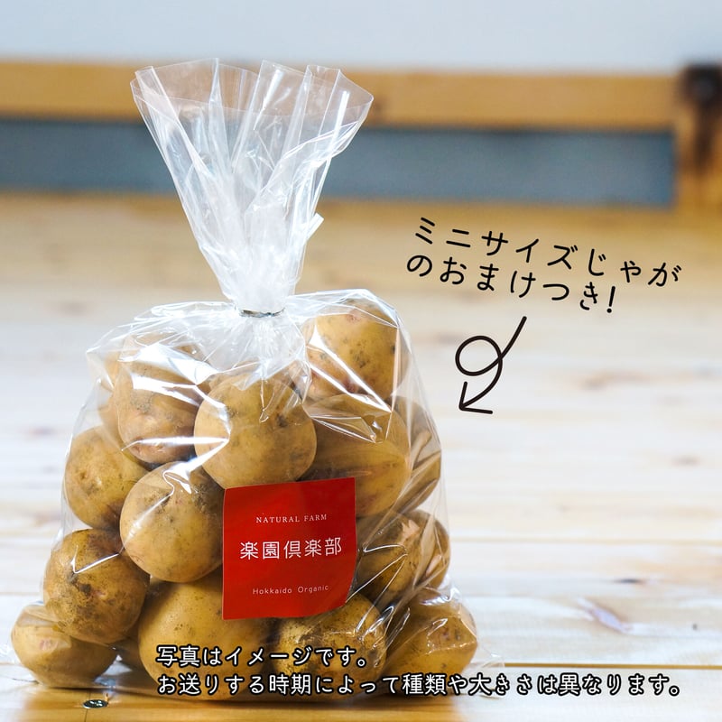 12月下旬〜1月下旬発送】新じゃが(きたあかり/とうや)&粉吹きカボチャ