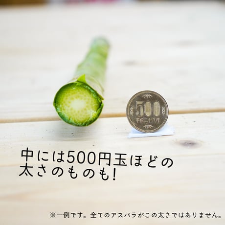 【完売】【予約販売/限定70セット】特選極太アスパラ(2L以上) 1kg【4月下旬〜5月中旬発送】