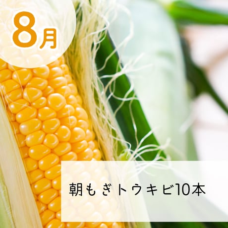 【1月3日発売開始!数量限定】ナチュラルファーム楽園倶楽部の定期便2026ミニ【全5回】