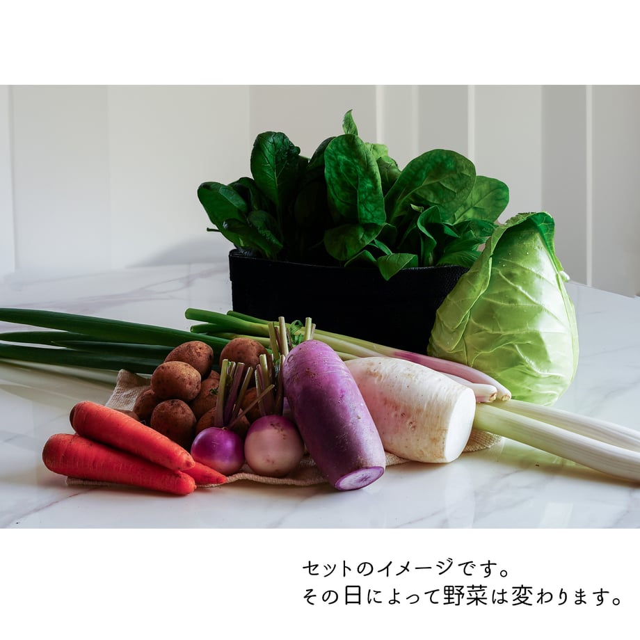 5ee9cf42d3f16769d46b3674