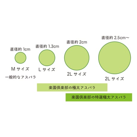【完売】【予約販売/限定70セット】特選極太アスパラ(2L以上) 1kg【4月下旬〜5月中旬発送】