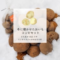 【完売しました】【数量限定】冬に寝かせたおいも　きたあかり/とうや　コンビセット【4月下旬〜5月下旬発送】