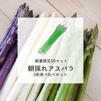 【完売】【数量限定50セット】朝採れアスパラ 3色食べ比べ　1kgセット【5月中旬〜6月上旬発送】