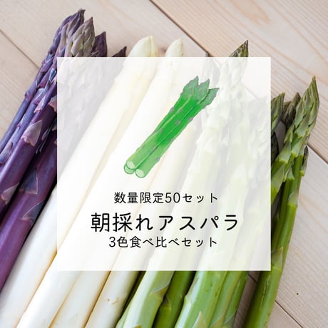 【完売】【数量限定50セット】朝採れアスパラ 3色食べ比べ　1kgセット【5月中旬〜6月上旬発送】