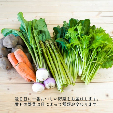 楽園倶楽部のおすすめ旬野菜セット【春のセット】