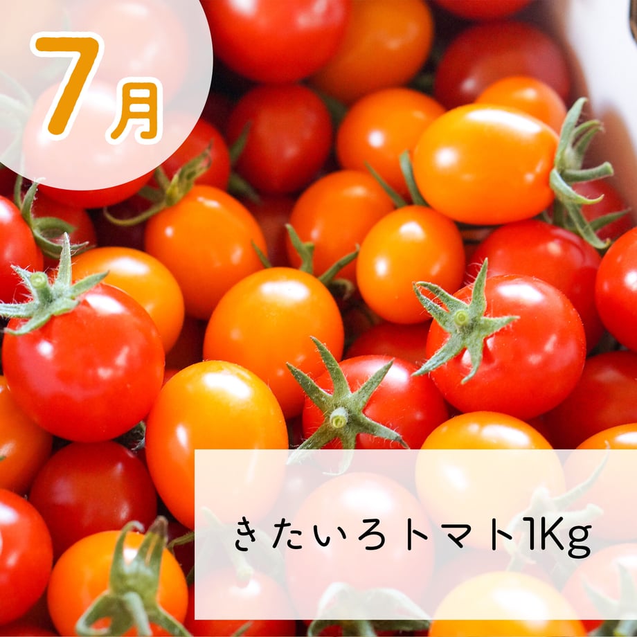 674c6dde62289b08d5cc3326