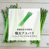 【5月31日予約終了】【予約販売・数量限定】極太アスパラ(L〜2L) 1kg+おまけ付【6月上旬〜6月下旬】