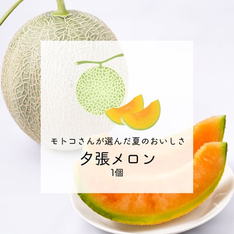 【みずみずしい初夏の甘さ】モトコさんが選んだ北海道メロン 1個