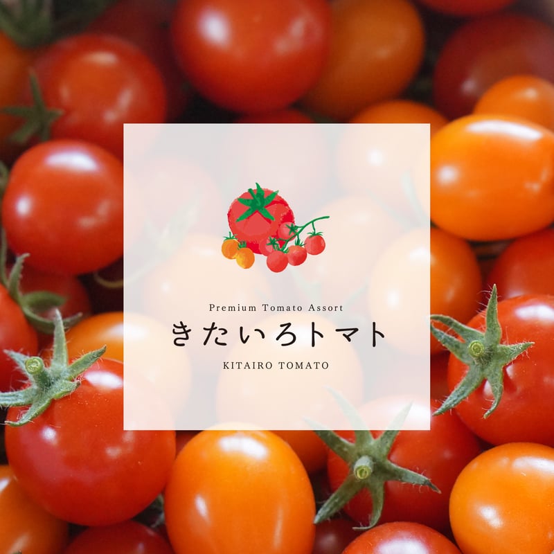 完売】【8月中旬〜9月下旬発送】きたいろトマト (フルーツトマト) 1kg