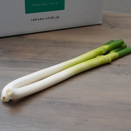 【完売しました】冬のお野菜オトクセット!【お鍋に!シチューに】