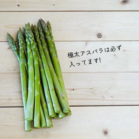 楽園倶楽部のおすすめ旬野菜セット【春のセット】