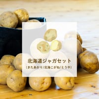 【10月上旬〜下旬発送】北海道じゃがセット(きたあかり/とうや/北海こがね)　味比べセット(ミニサイズじゃがのおまけ付)