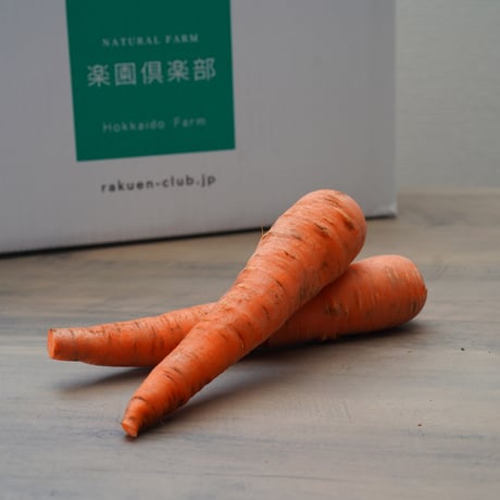 【完売しました】冬のお野菜オトクセット!【お鍋に!シチューに】