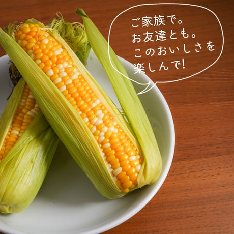 【予約・人気No.1】あさもぎトウキビときたいろトマトのセット【8月上旬〜8月下旬発送】