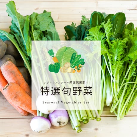 楽園倶楽部のおすすめ旬野菜セット【春のセット】