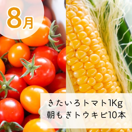 【1月3日発売開始/数量限定】ナチュラルファーム楽園倶楽部の定期便2026フルセット【全6回】