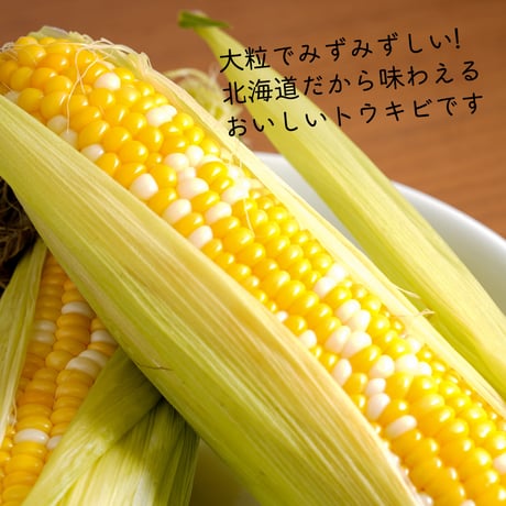 あさもぎトウキビ20本セット【7月下旬〜8月中旬発送】