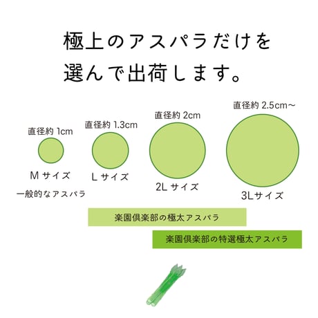 【完売】【予約販売/限定50セット】特選極太アスパラ(2L以上) 1kg【4月下旬〜5月上旬発送】