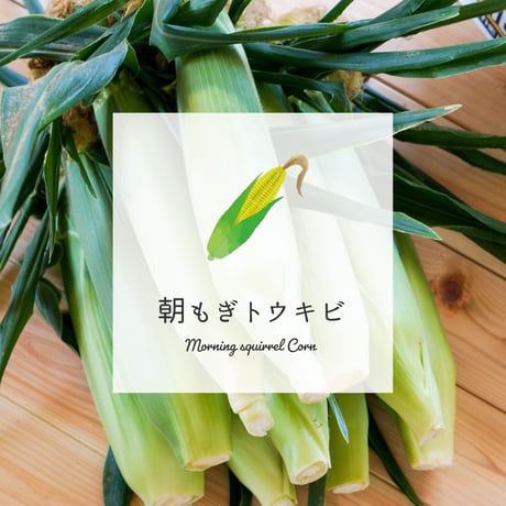 あさもぎトウキビ20本セット【7月下旬〜8月中旬発送】