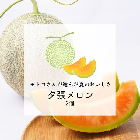 【みずみずしい初夏の甘さ】モトコさんが選んだ北海道メロン 2個セット