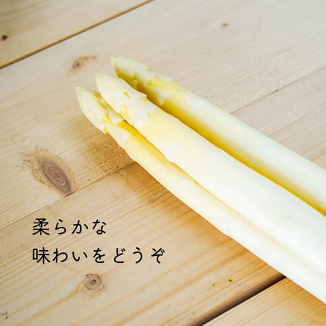 【完売】【数量限定50セット】朝採れアスパラ 3色食べ比べ　1kgセット【5月中旬〜6月上旬発送】