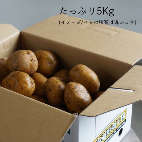 【4月下旬〜5月下旬発送】冬に寝かせたおいも　きたあかり　5kgセット