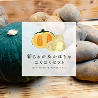 【10月上旬〜下旬発送】新じゃがコンビ(きたあかり/とうや)と都カボチャ　ホクホクセット(ミニサイズじゃがのおまけ付)