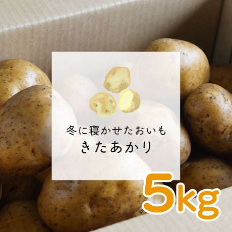 CATEGORY じゃがいもセット | ナチュラルファーム 楽園倶楽部