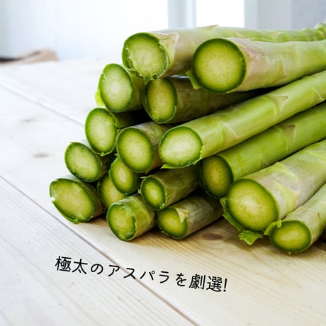 【完売】【予約販売/限定50セット】特選極太アスパラ(2L以上) 1kg【4月下旬〜5月上旬発送】