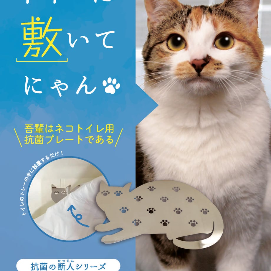 65654e001b56ba03fc789f13