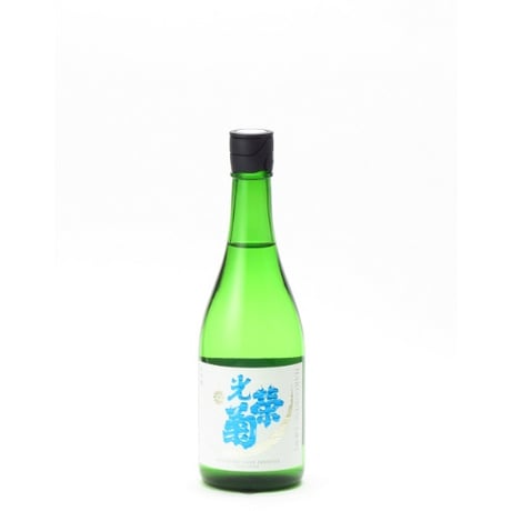 光栄菊　2本セット 光栄菊2本 光栄菊2本