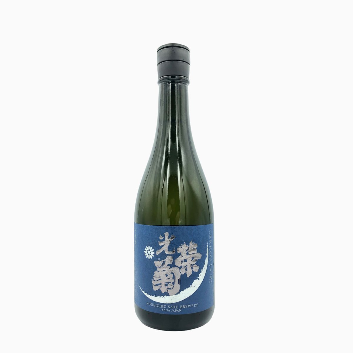 光栄菊　アナスタシアグリーン　光栄菊 月光  八反錦 光栄菊 アナスタシアグリーン 光栄菊 月光 八反錦