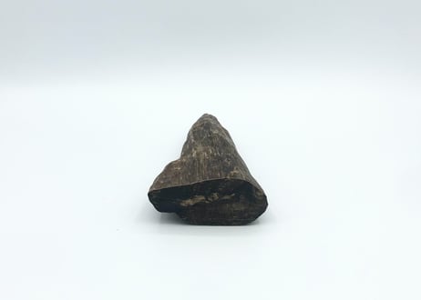 香木 仮銘「菊の露」 寸門陀羅（沈香） 0.4g
