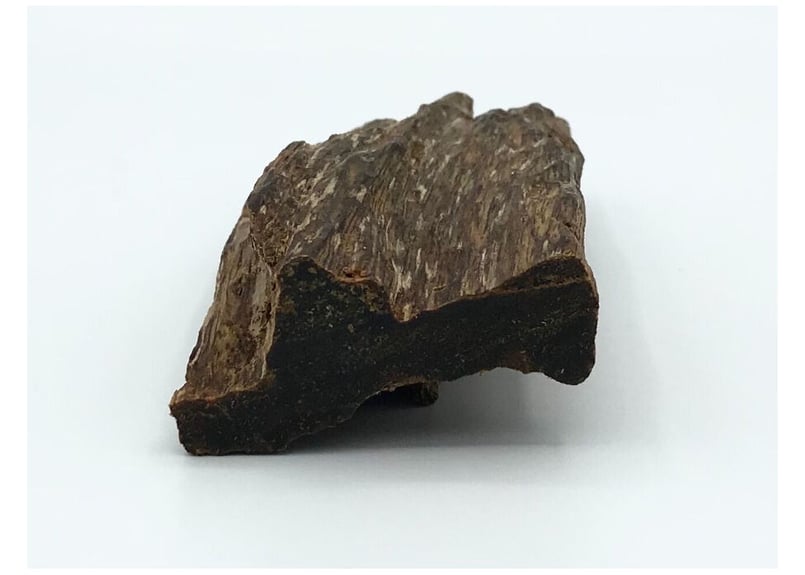 香木 仮銘「こり咲く梅」 伽羅（沈香） 0.25g | KOGADO STORE